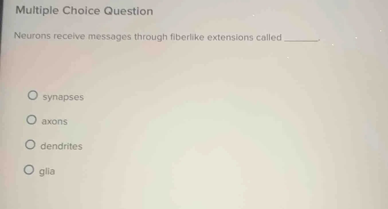 multiple choice question neurons receive messages through fiberlike ext…