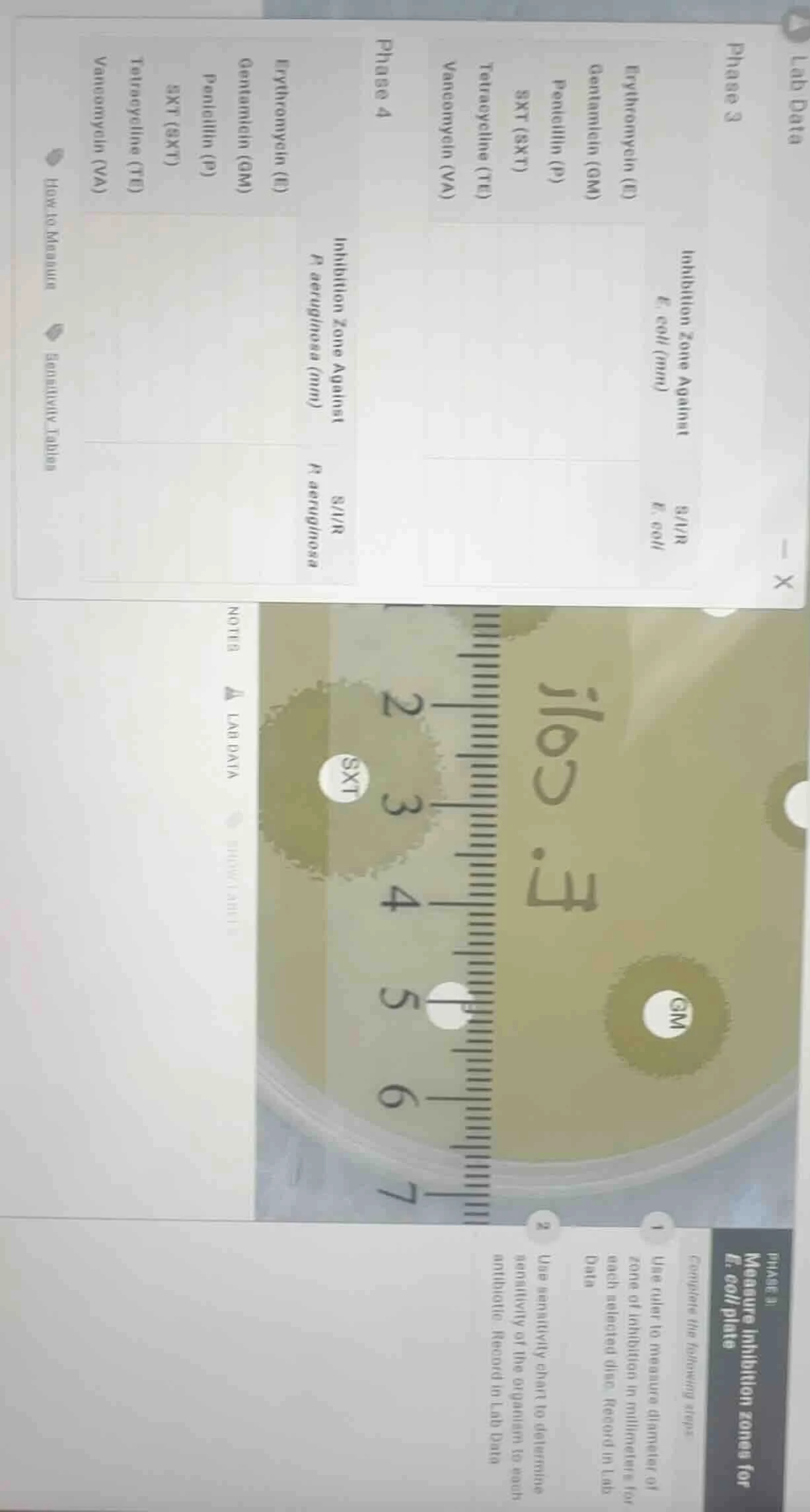 lab data phase 3 inhibition zone against e. coli (mm) s/i/r e. coli ery…