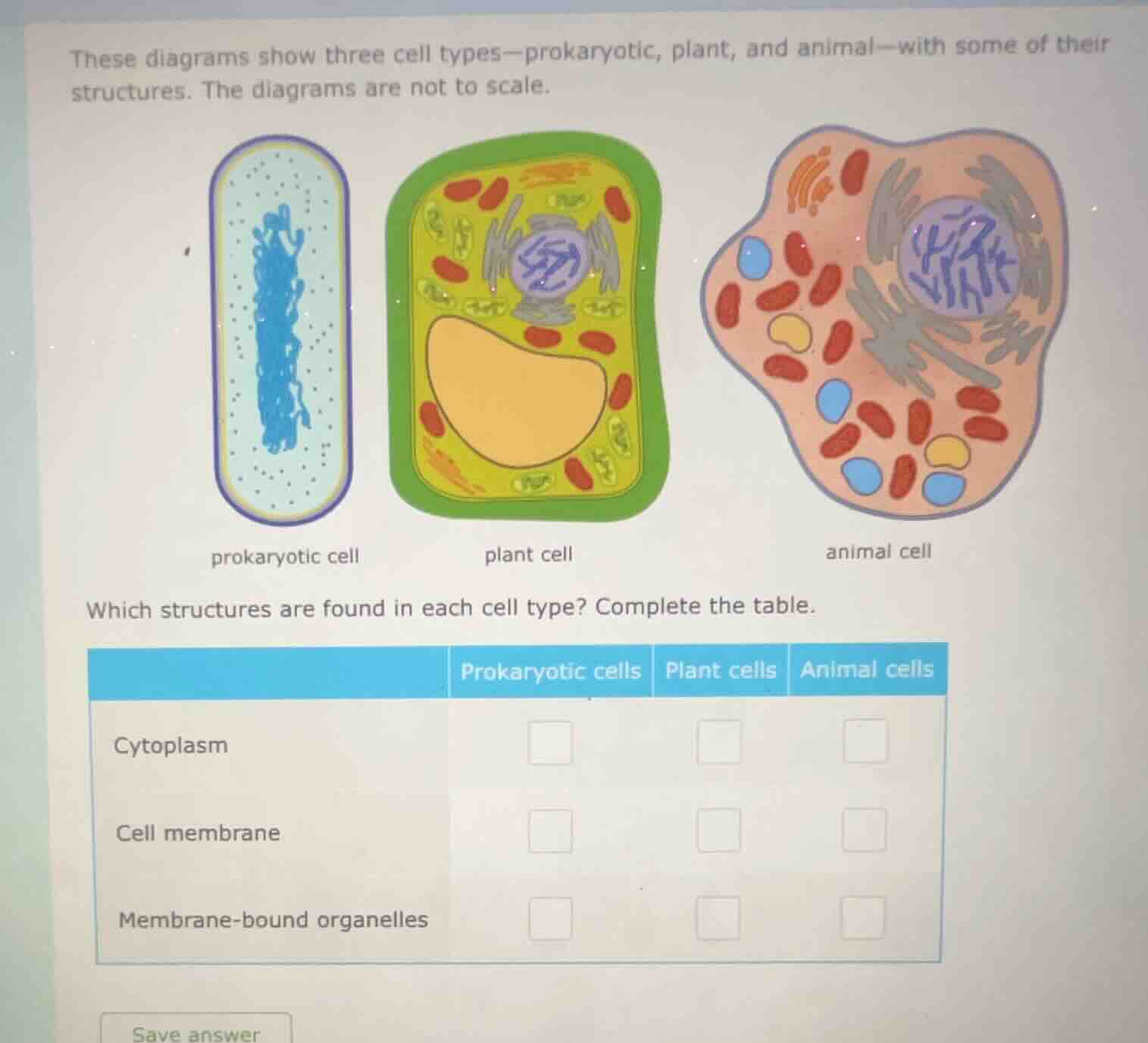 these diagrams show three cell types—prokaryotic, plant, and animal—wit…