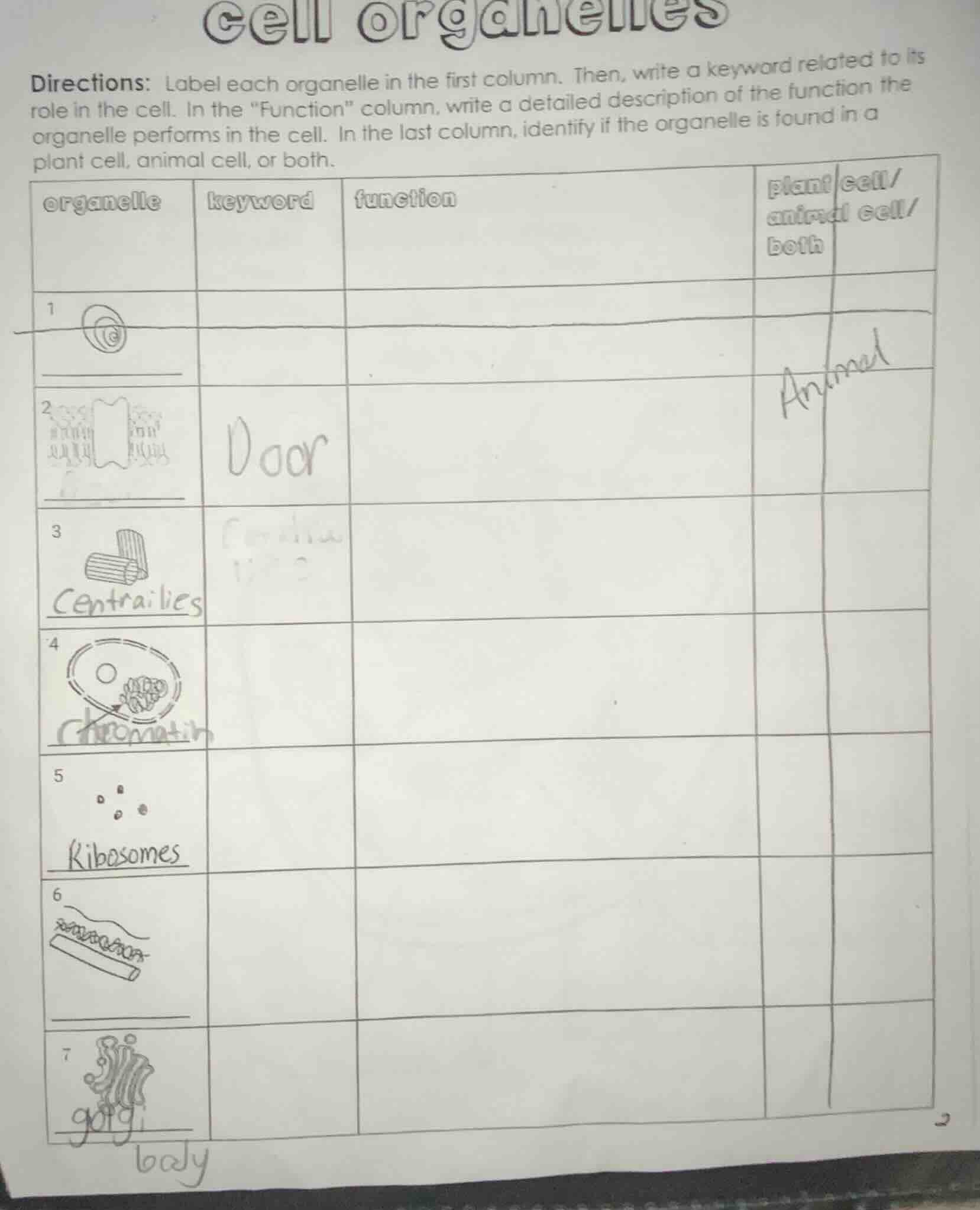 cell organelles directions: label each organelle in the first column. t…