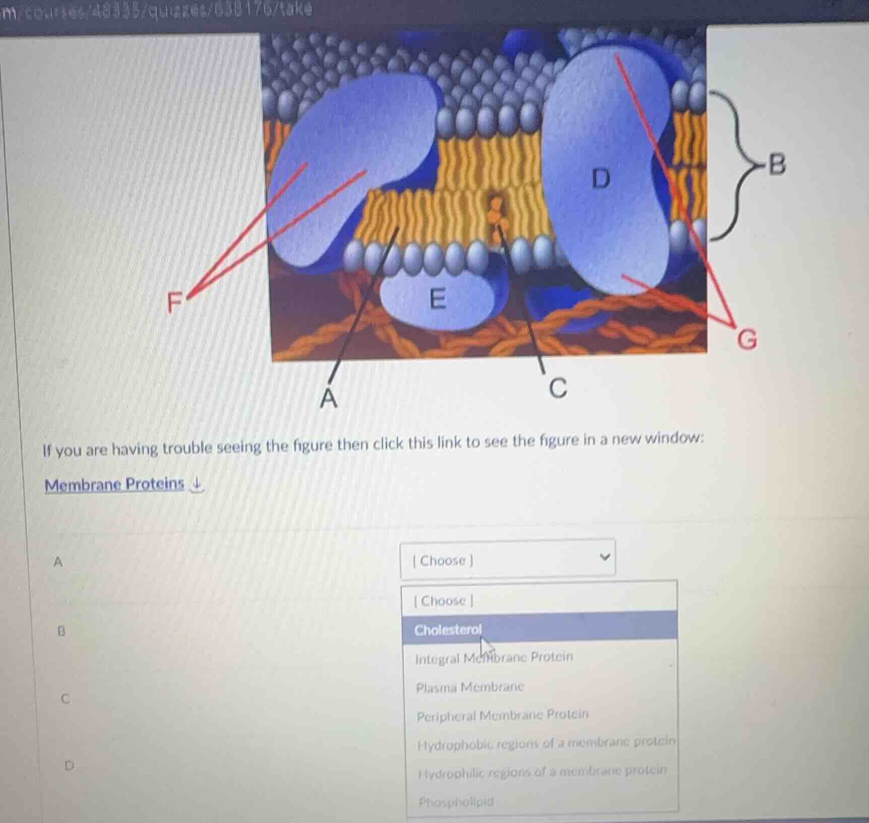 if you are having trouble seeing the figure then click this link to see…