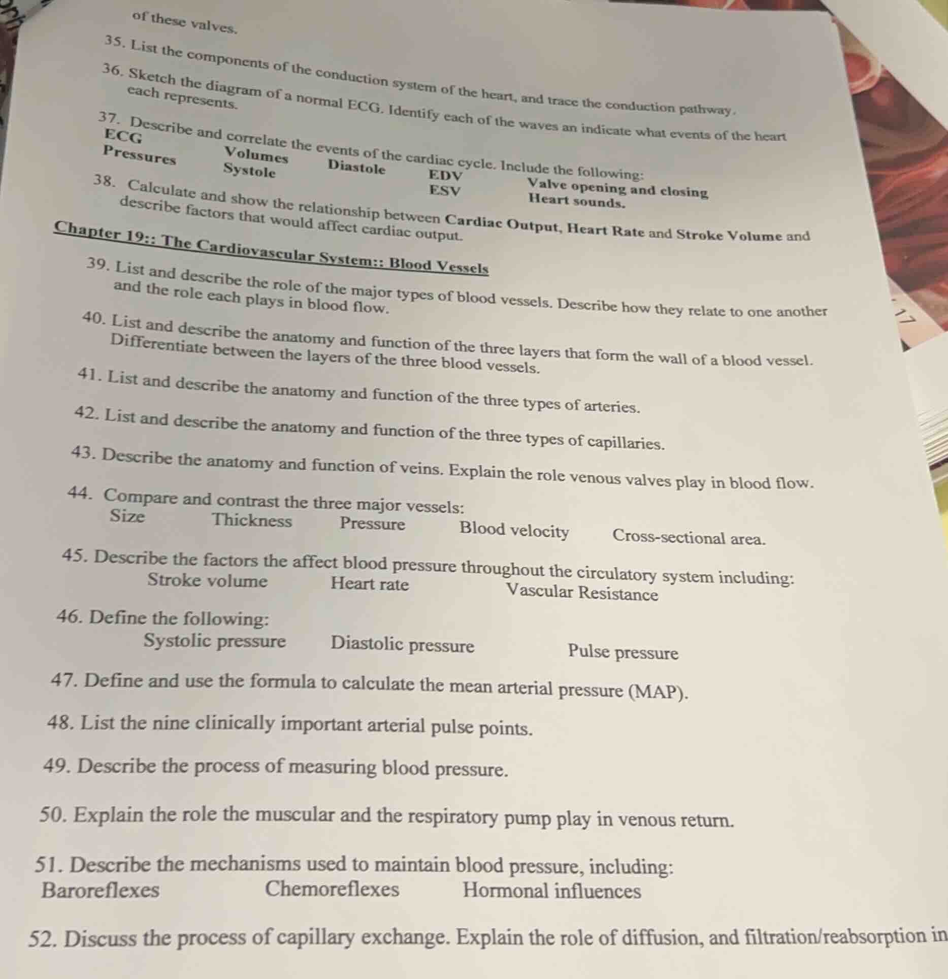 of these valves. 35. list the components of the conduction system of th…
