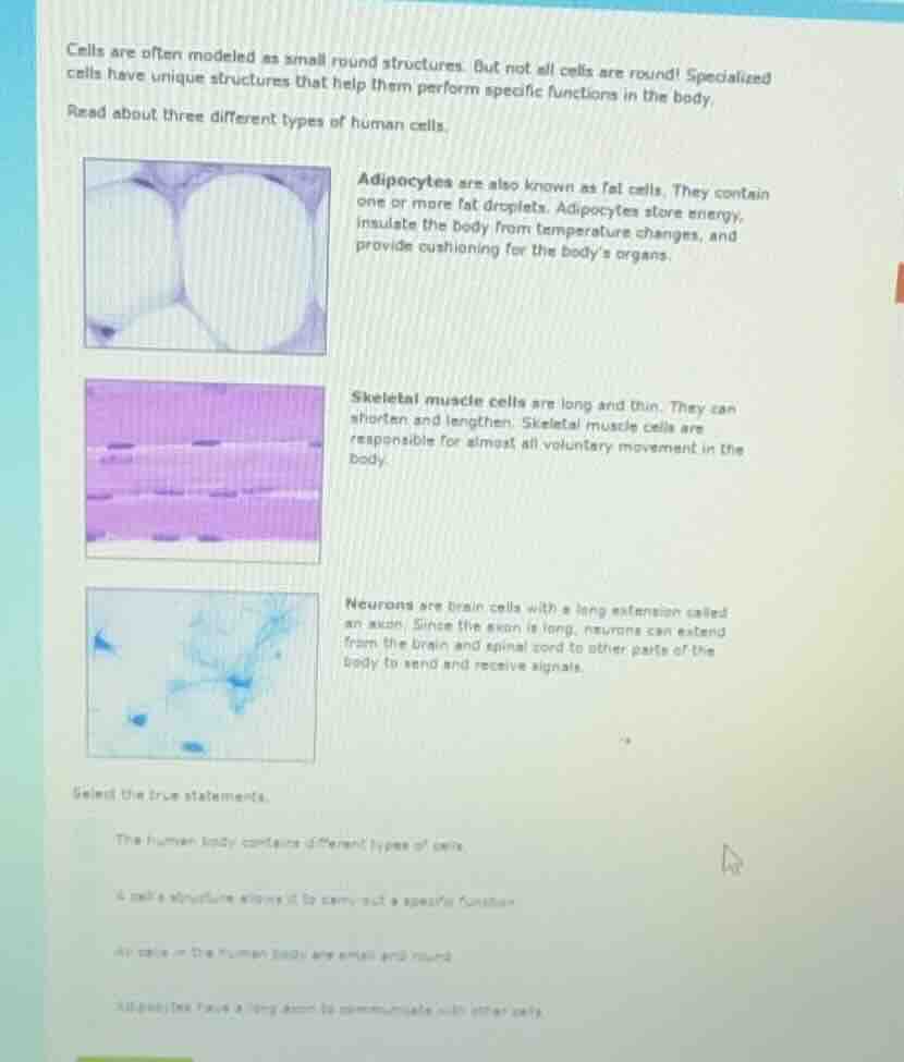 cells are often modeled as small round structures. but not all cells ar…