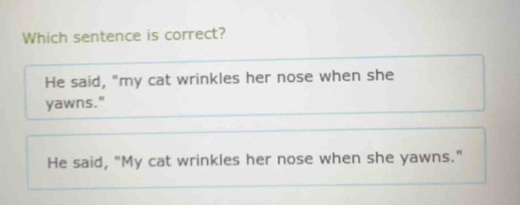which sentence is correct? he said, \my cat wrinkles her nose when she …