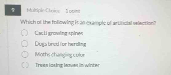 9 multiple choice 1 point which of the following is an example of artif…