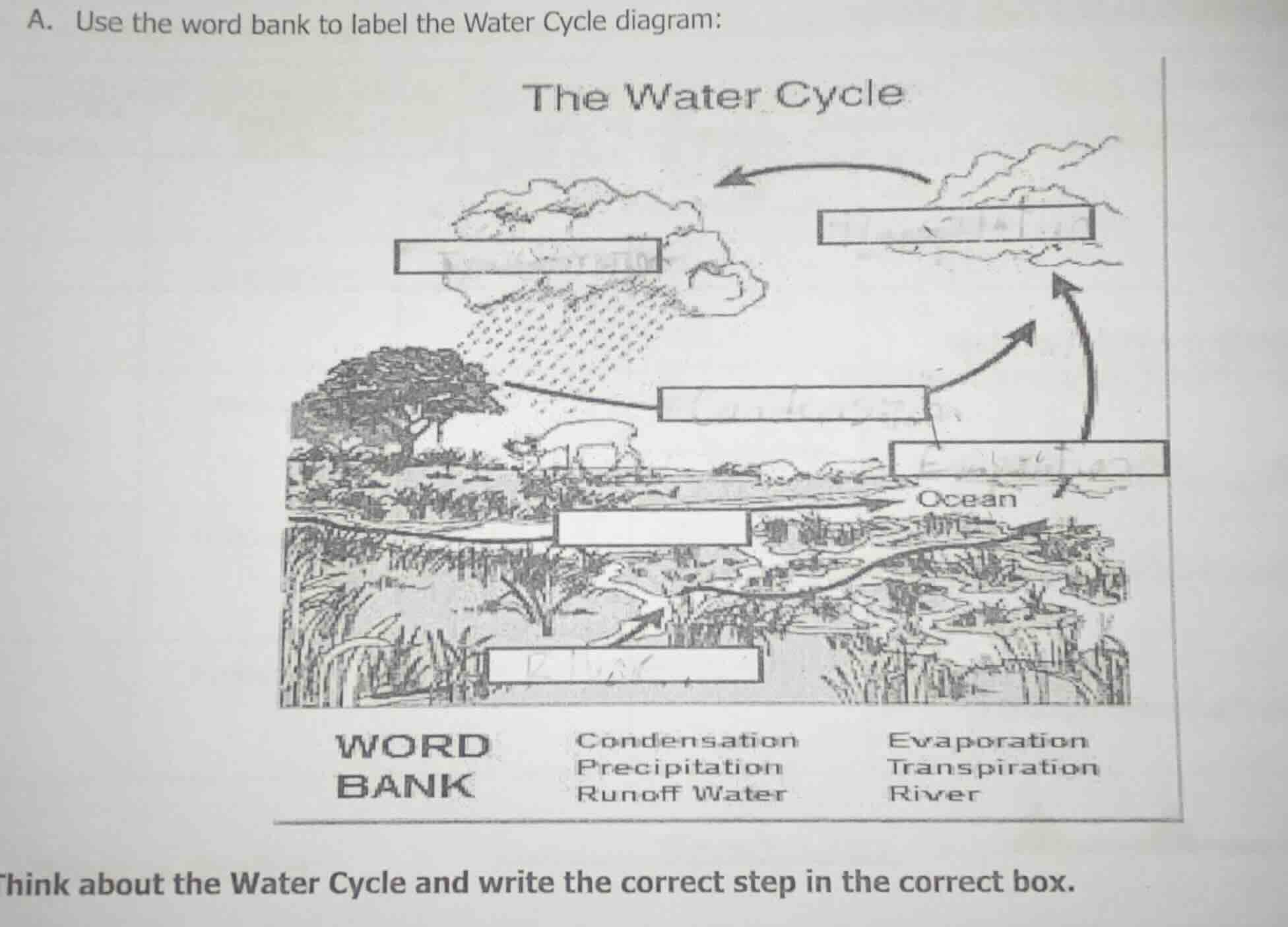 a. use the word bank to label the water cycle diagram: the water cycle …