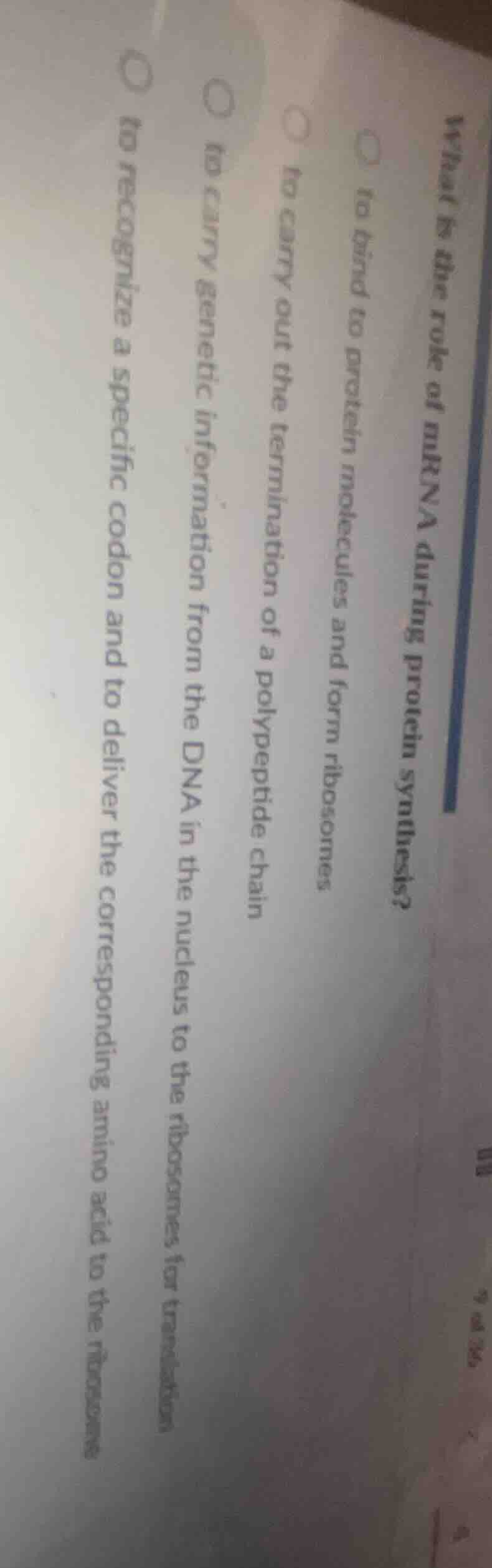 what is the role of mrna during protein synthesis?○ to bind to protein …