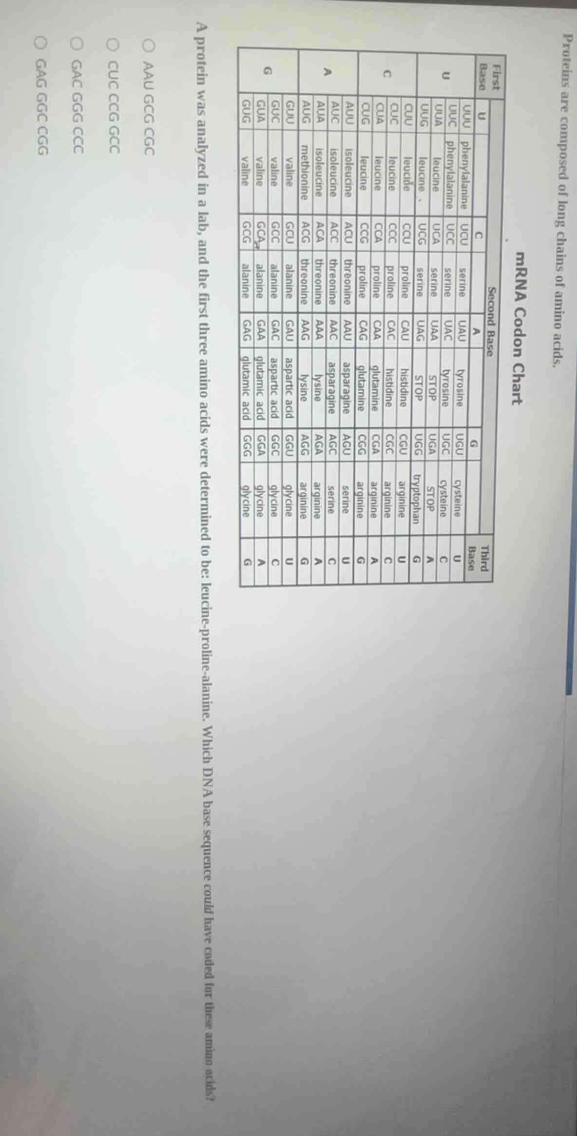 proteins are composed of long chains of amino acids. mrna codon chart a…