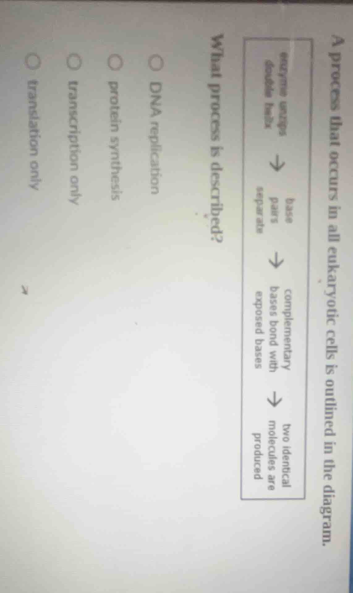 a process that occurs in all eukaryotic cells is outlined in the diagra…