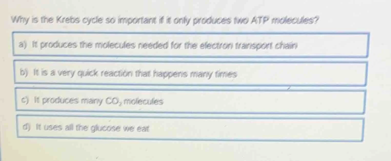 why is the krebs cycle so important if it only produces two atp molecul…