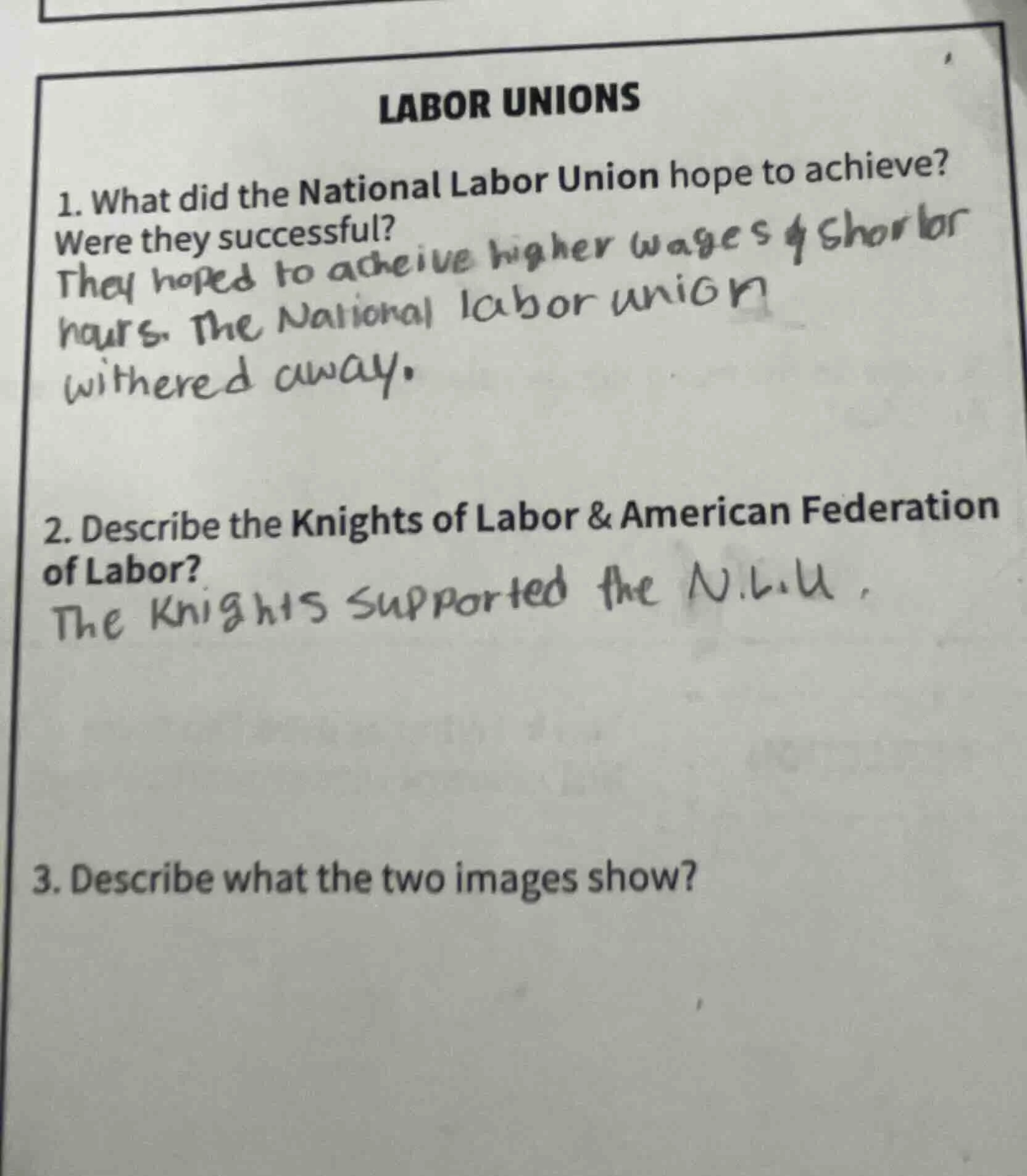 labor unions 1. what did the national labor union hope to achieve? were…