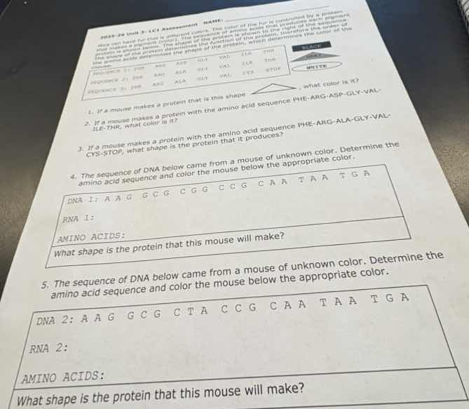 name:2023-24 unit 3 - lc1 assessmentmice can have fur in different colo…