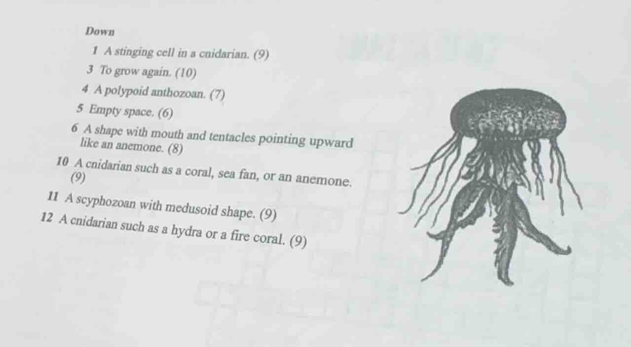down 1 a stinging cell in a cnidarian. (9) 3 to grow again. (10) 4 a po…