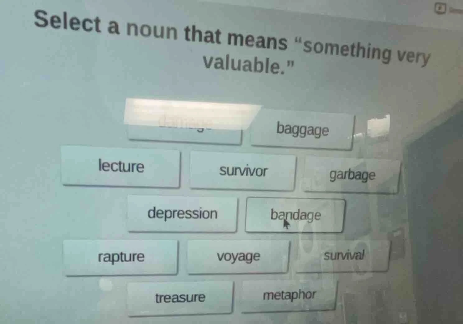 select a noun that means \something very valuable.\ baggage lecture sur…