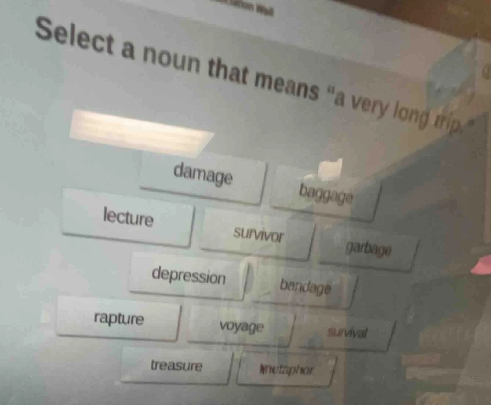 select a noun that means \a very long trip.\damagebaggagelecturesurvivo…