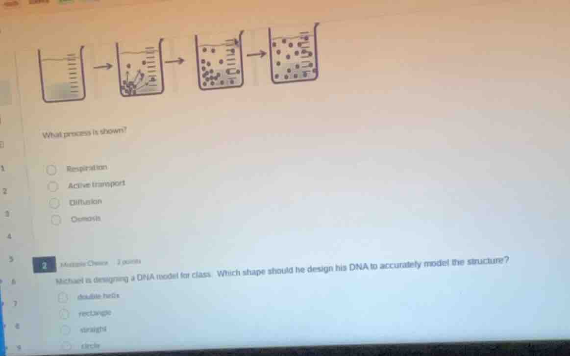 what process is shown?respirationactive transportdiffusionosmosis2 mult…
