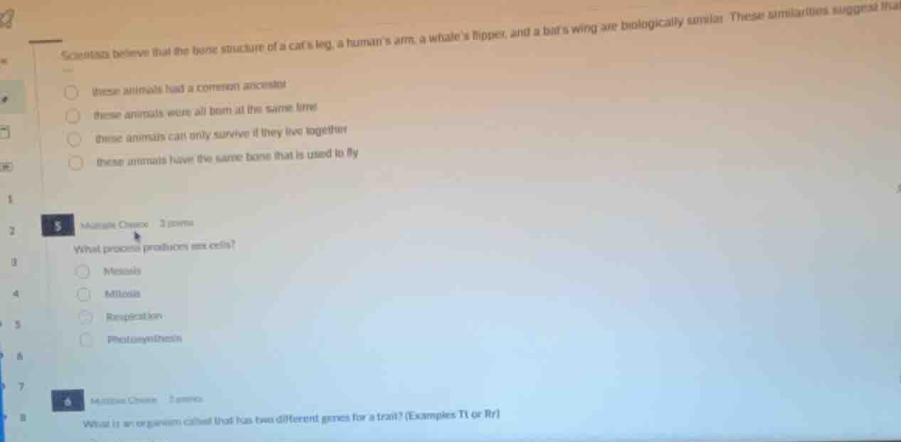 scientists believe that the bone structure of a cats leg, a humans arm,…