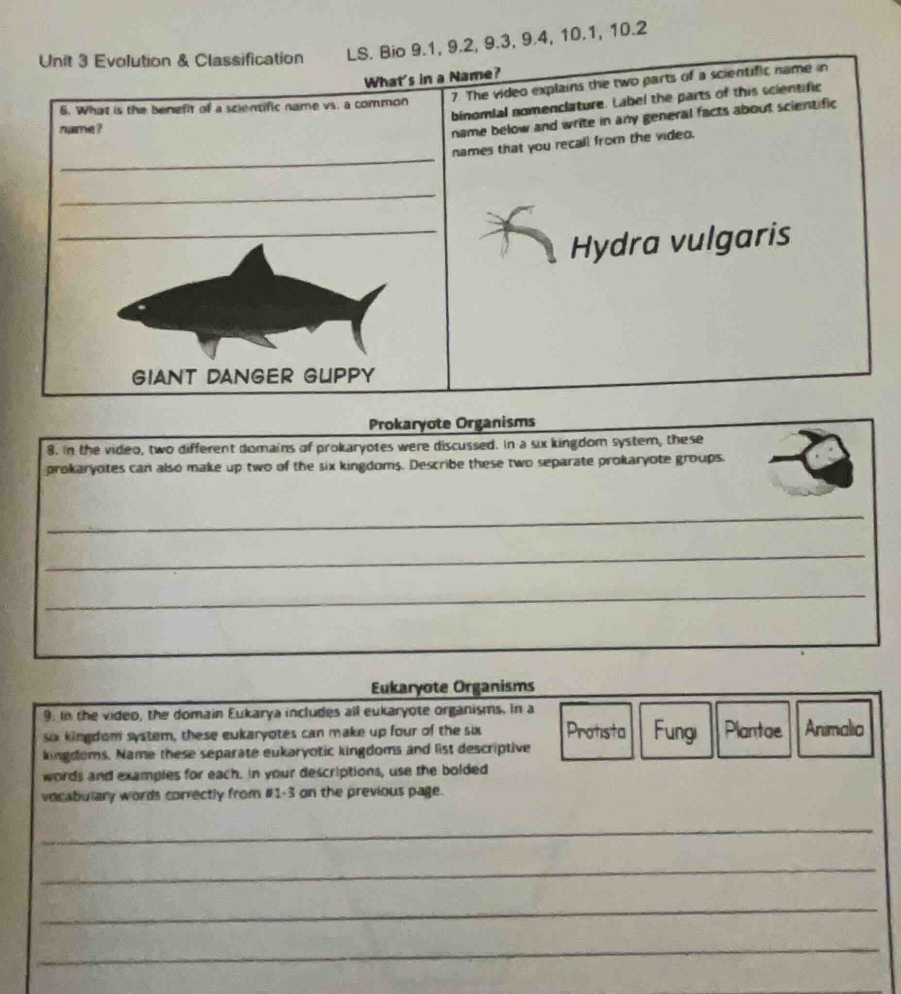 unit 3 evolution & classificationls. bio 9.1, 9.2, 9.3, 9.4, 10.1, 10.2…