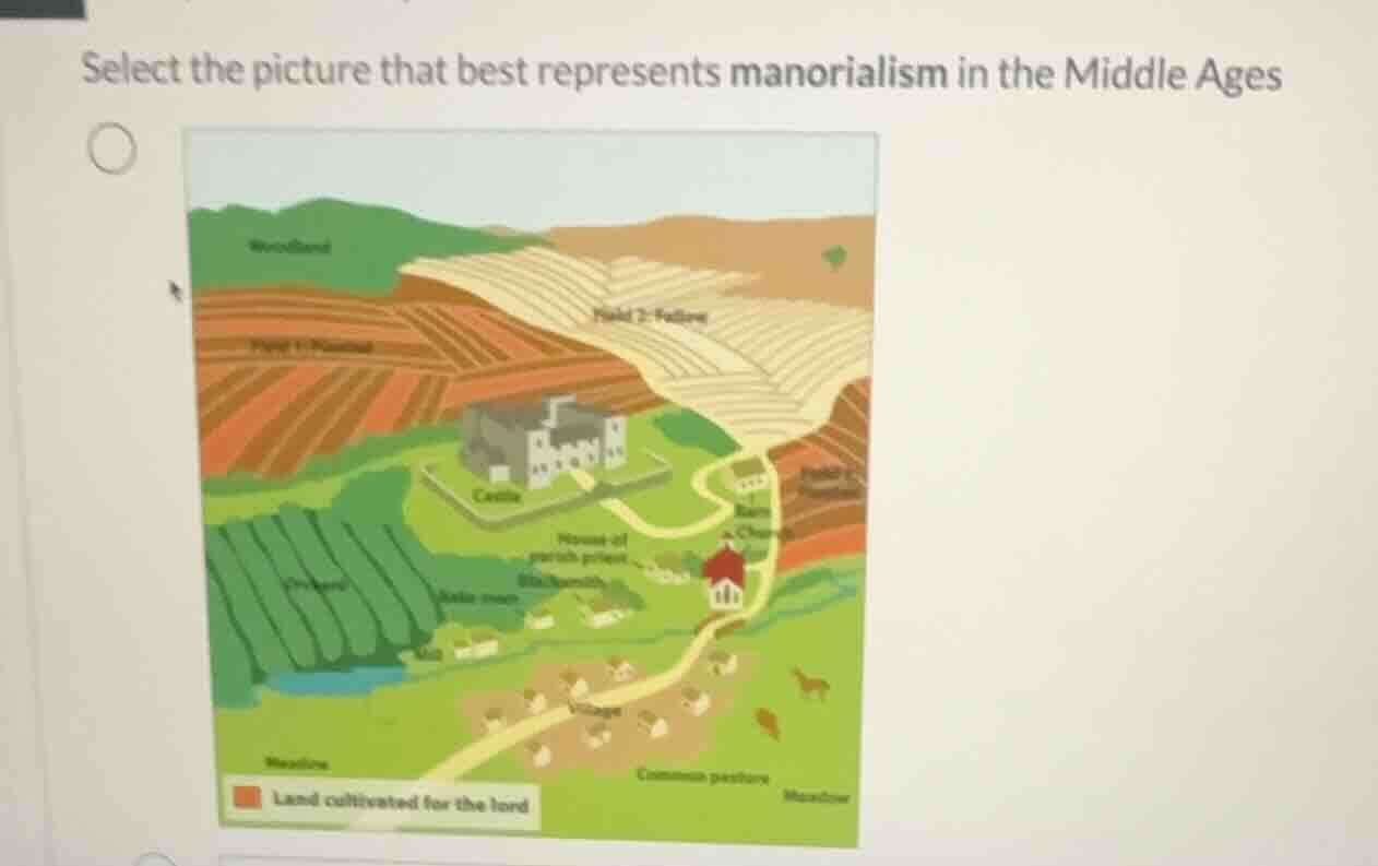 select the picture that best represents manorialism in the middle ages