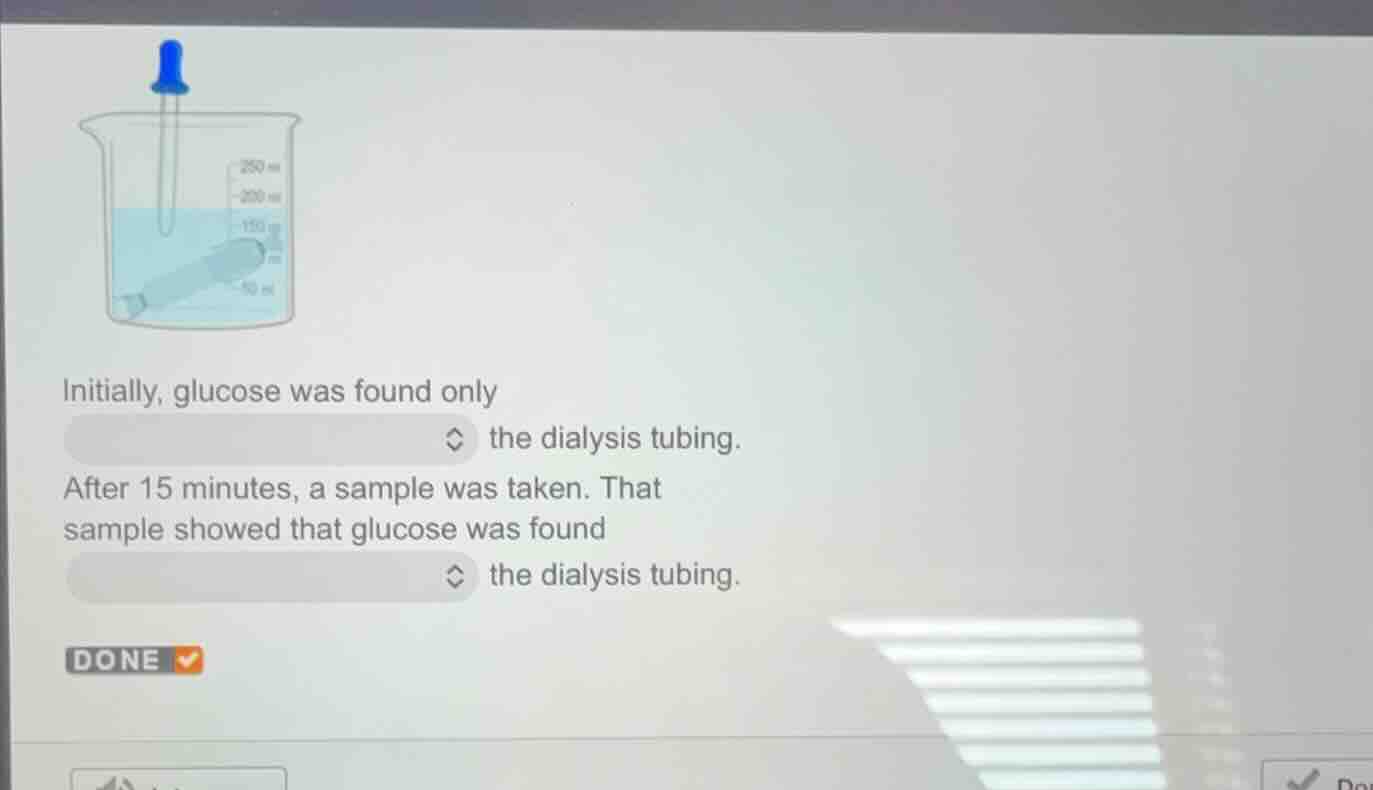 initially, glucose was found onlythe dialysis tubing.after 15 minutes, …