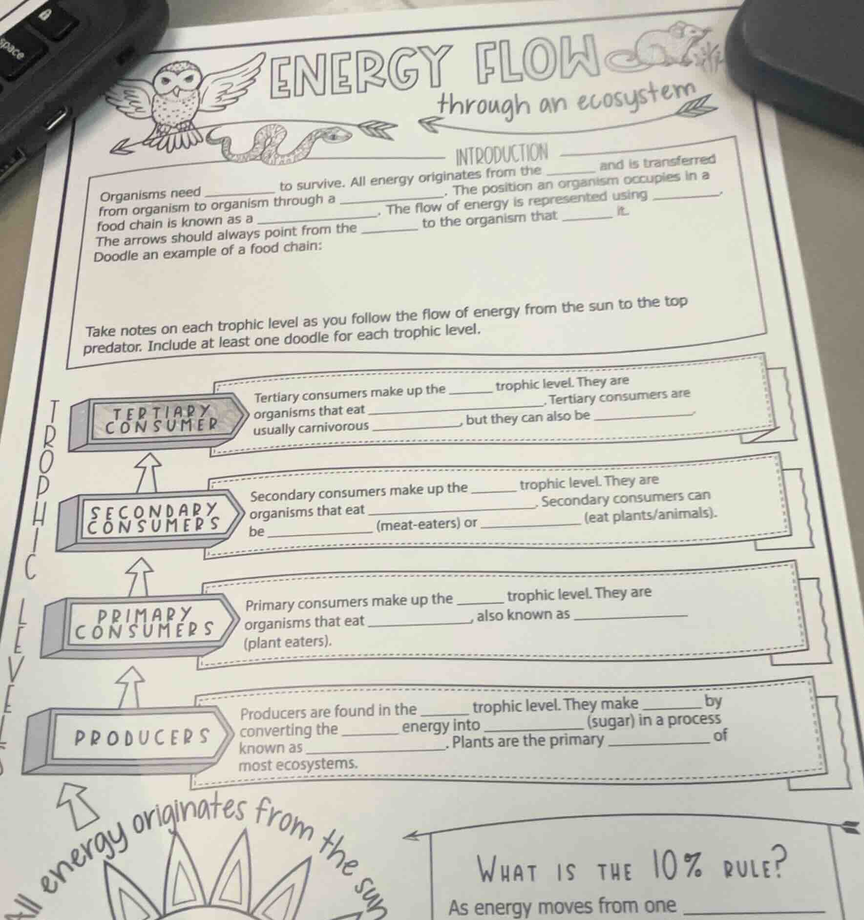 energy flowthrough an ecosystemintroductionorganisms need __________ to…