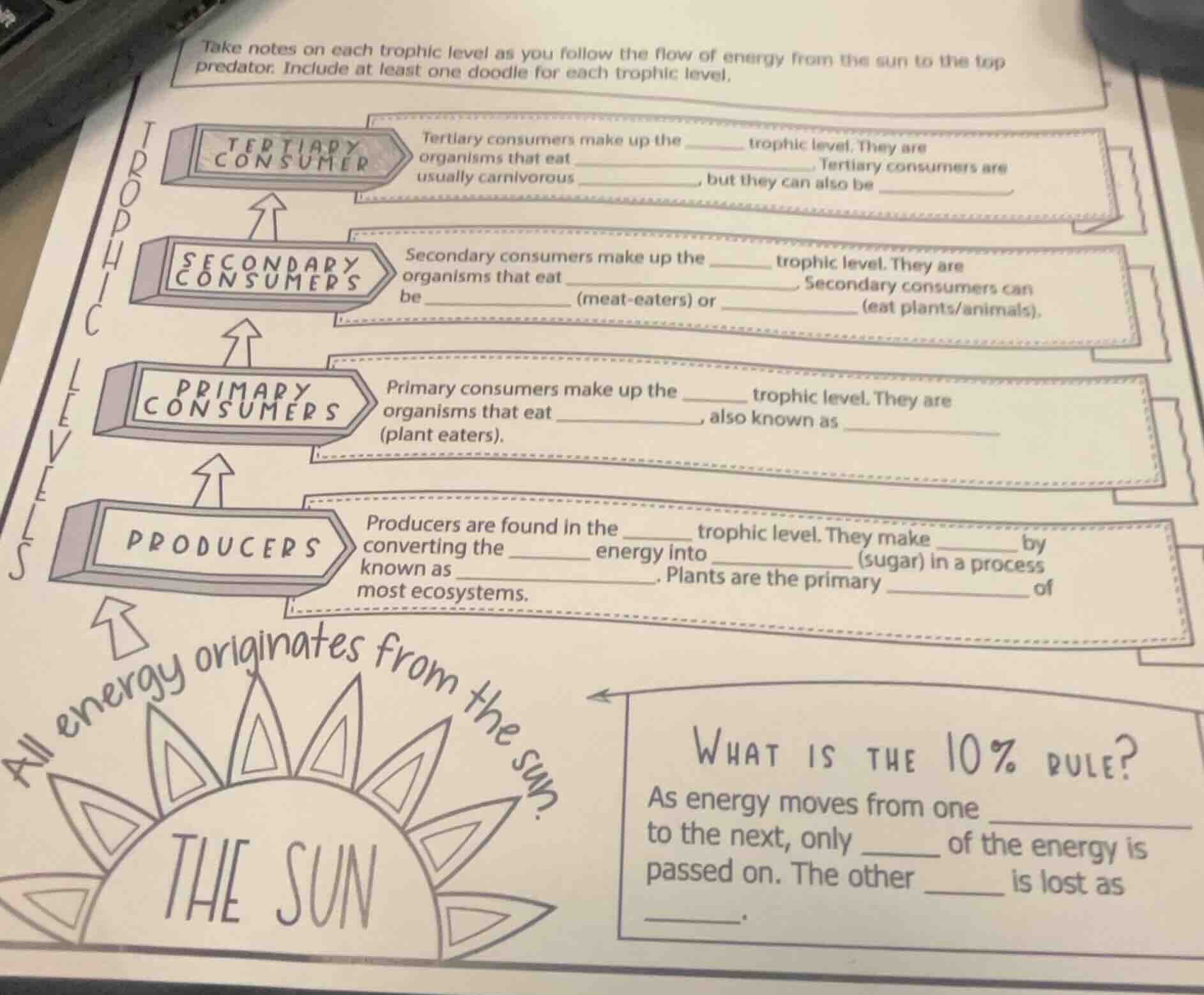 take notes on each trophic level as you follow the flow of energy from …