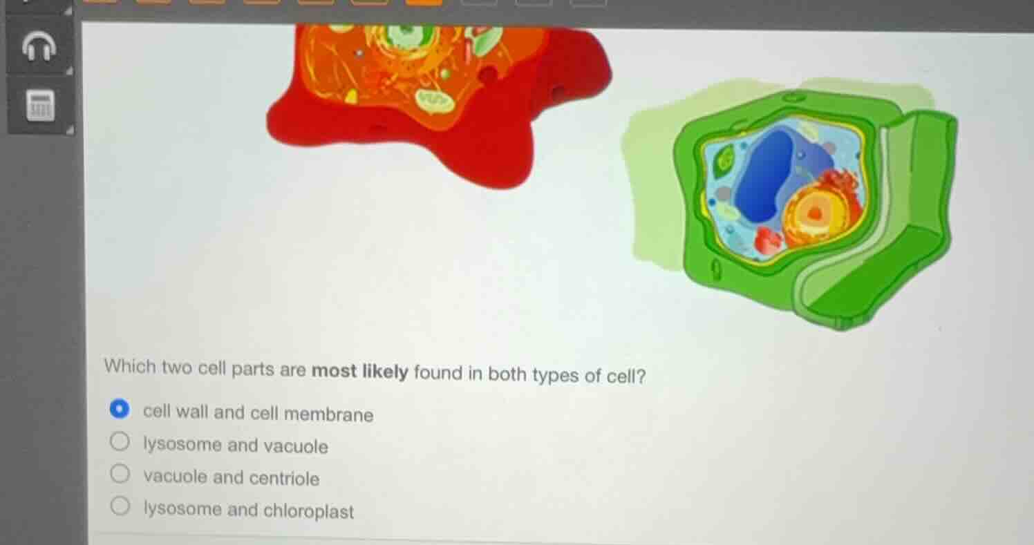 which two cell parts are most likely found in both types of cell?cell w…