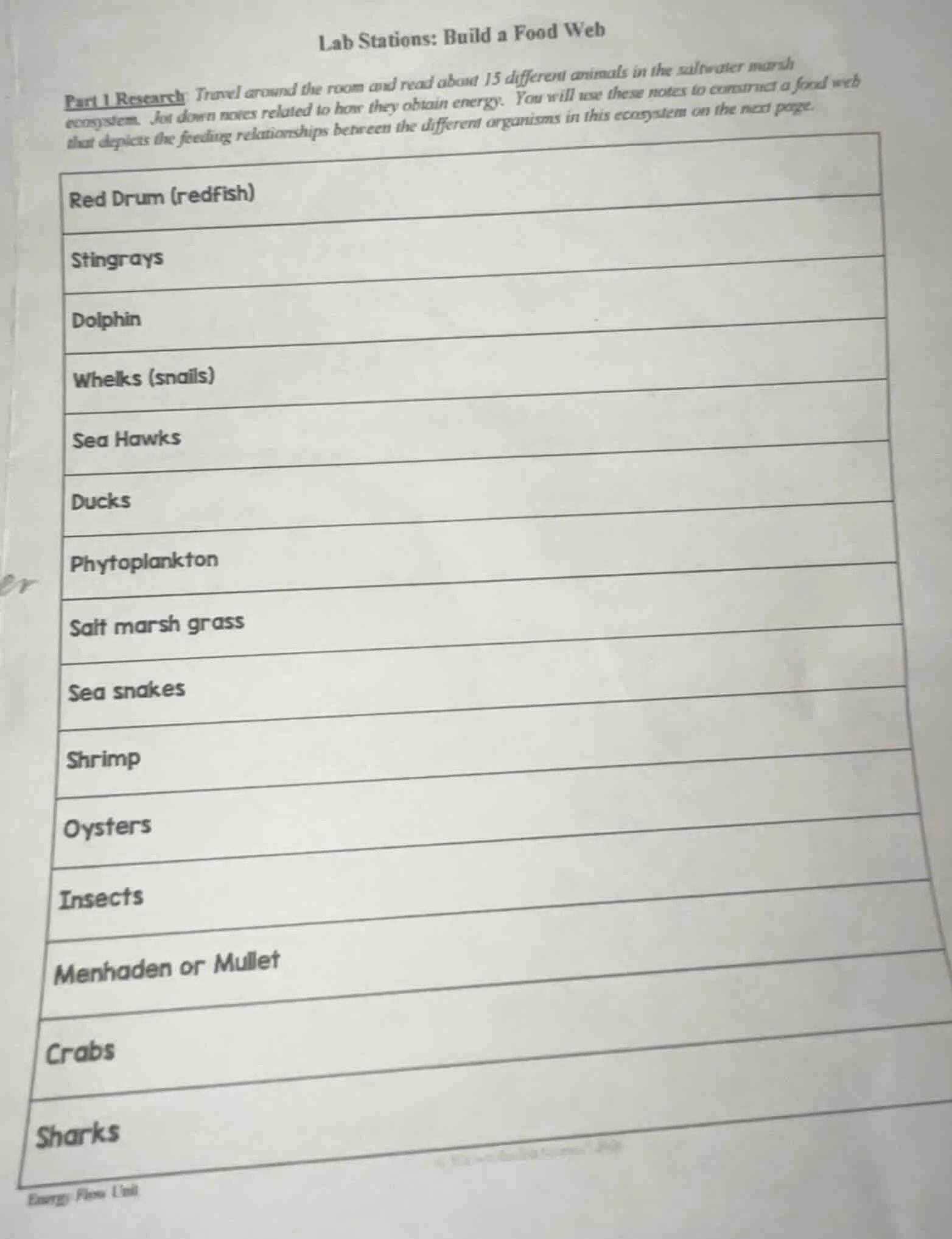 lab stations: build a food web part 1 research: travel around the room …