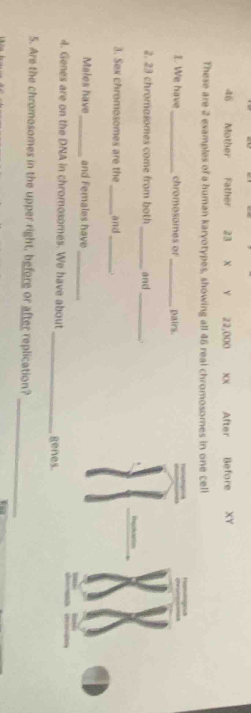 46 mother father 23 x y 22,000 xx after before xy these are 2 examples …