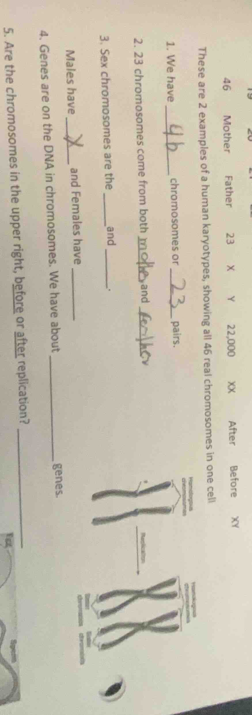 19 2046mother father 23 x y 22,000 xx after before xythese are 2 exampl…