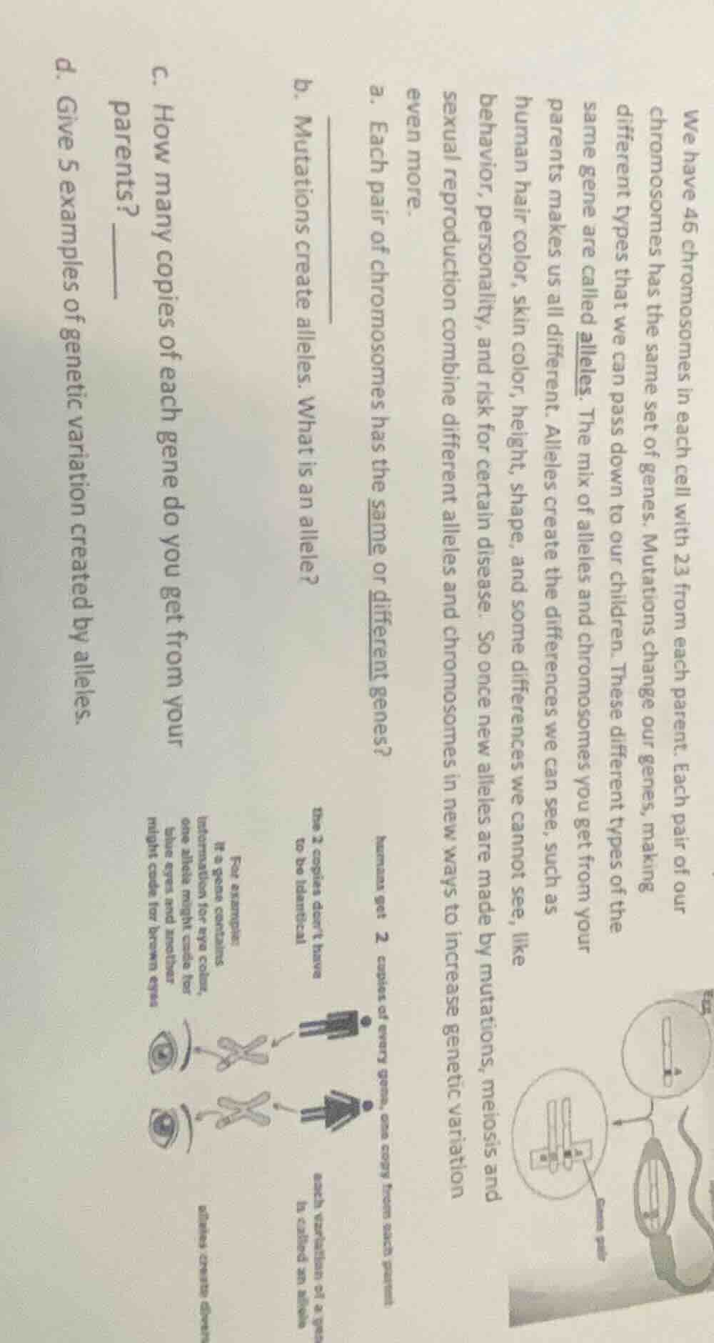 we have 46 chromosomes in each cell with 23 from each parent. each pair…