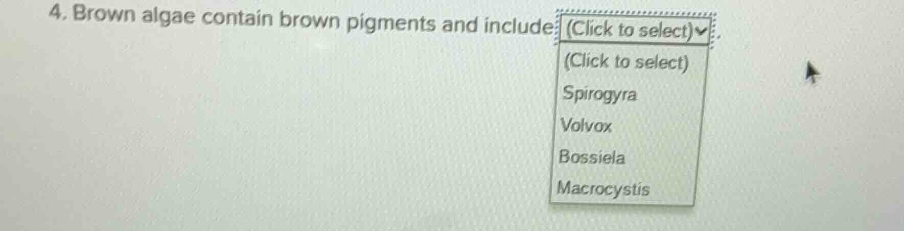 4. brown algae contain brown pigments and include (click to select)opti…