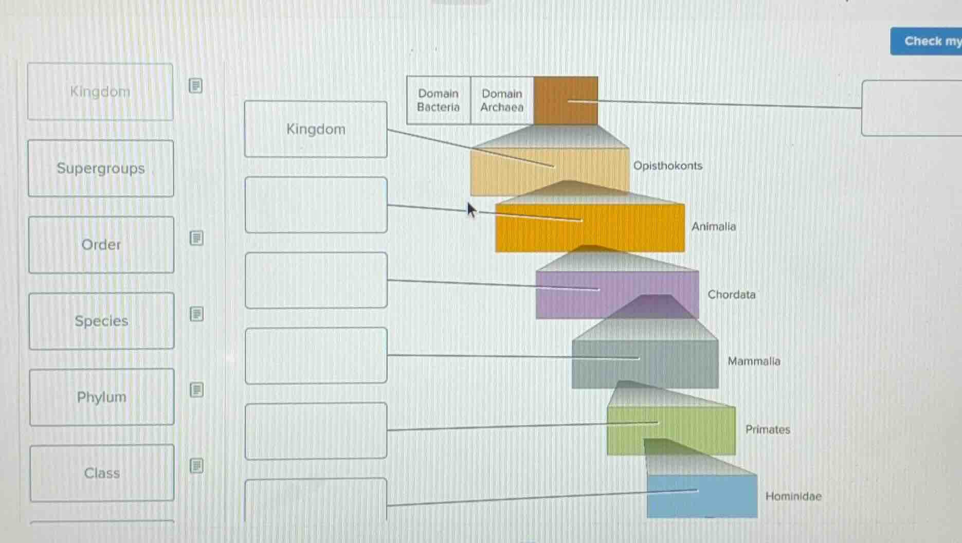 check my kingdom supergroups order species phylum class domain bacteria…