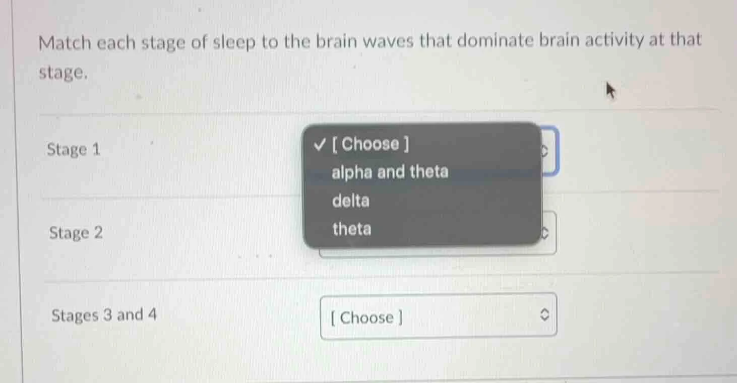 match each stage of sleep to the brain waves that dominate brain activi…