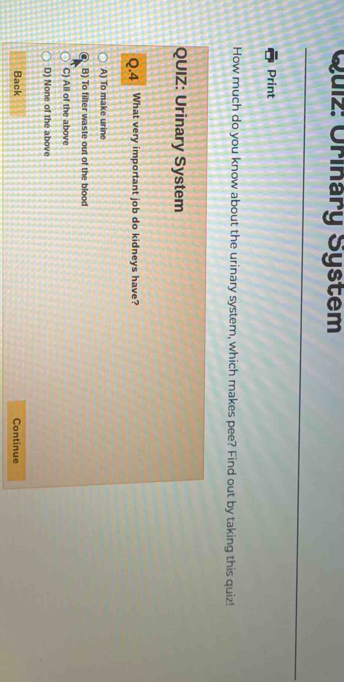 quiz: urinary system print how much do you know about the urinary syste…
