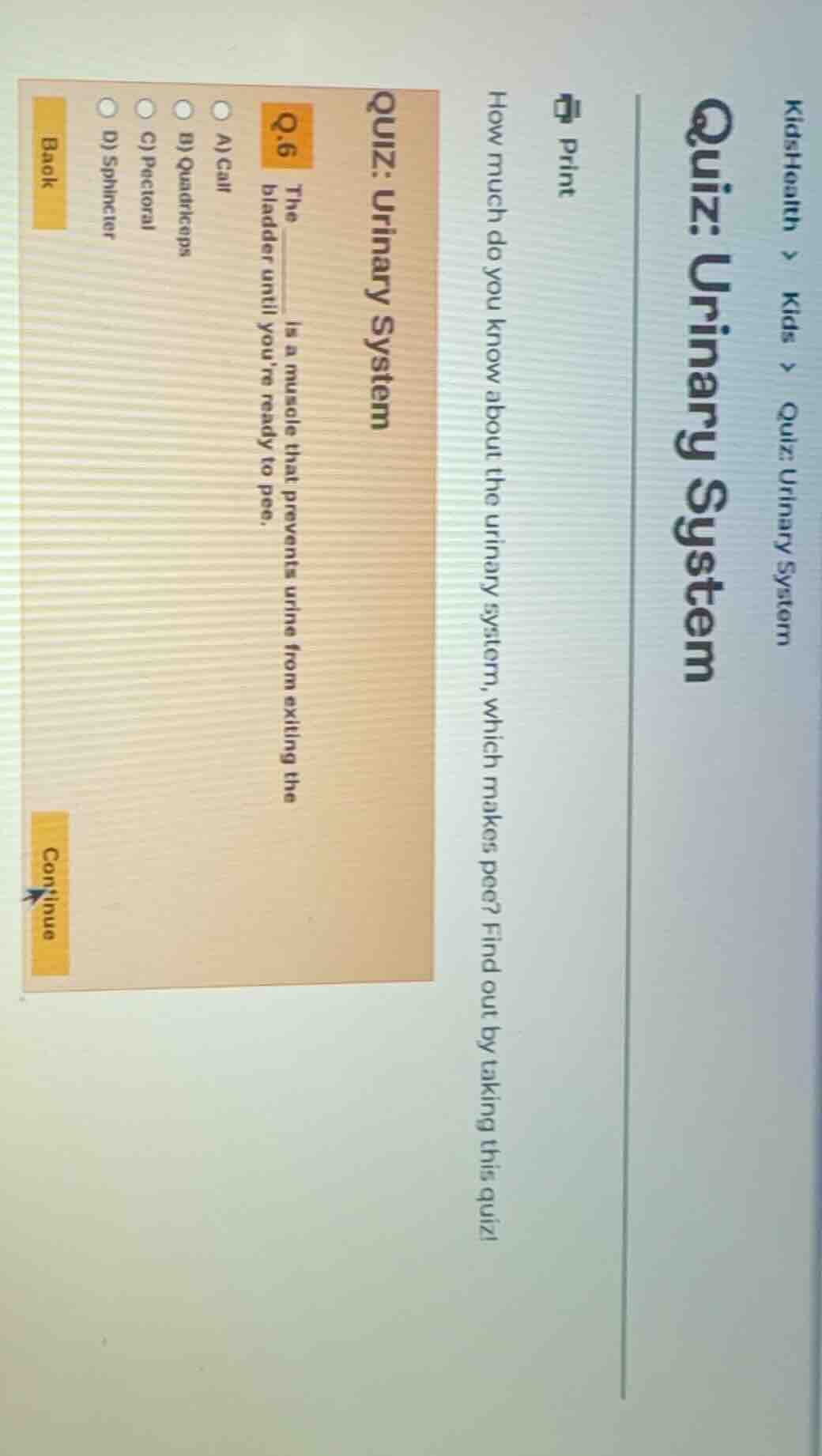 kidshealth > kids > quiz: urinary system quiz: urinary system print how…