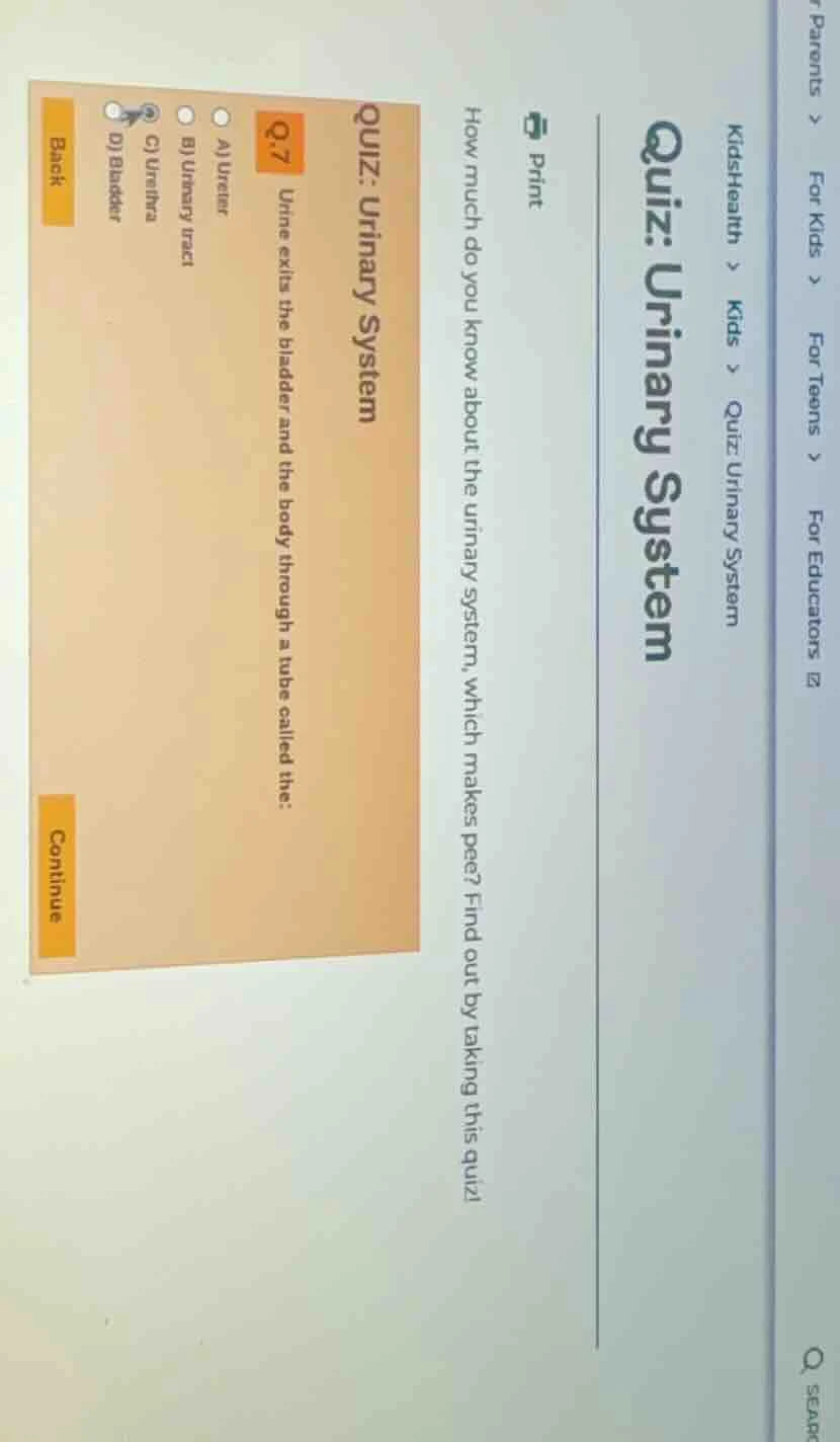 parents > for kids > for teens > for educatorskidshealth > kids > quiz:…