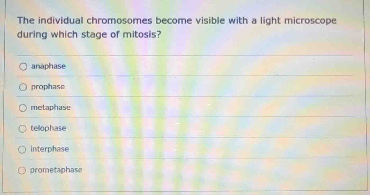 the individual chromosomes become visible with a light microscope durin…