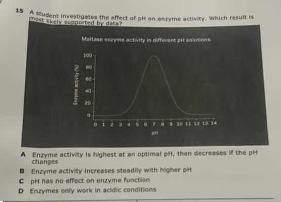 15 a student investigates the effect of ph on enzyme activity. which re…