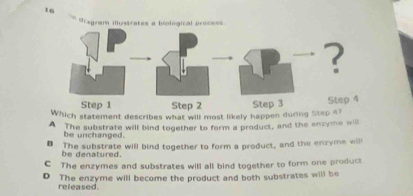 16 the diagram illustrates a biological process. step 1 step 2 step 3 s…