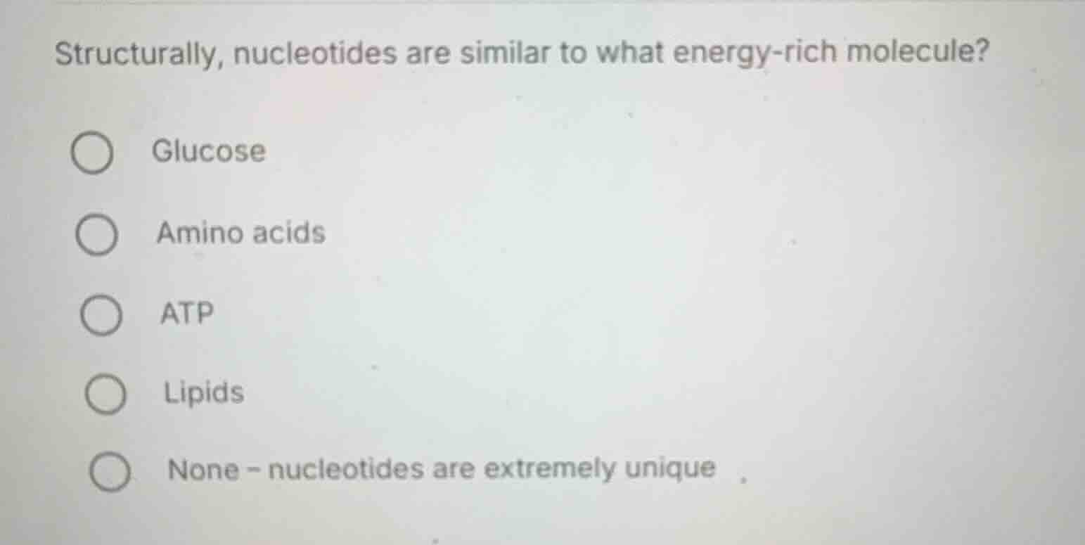 structurally, nucleotides are similar to what energy-rich molecule? glu…