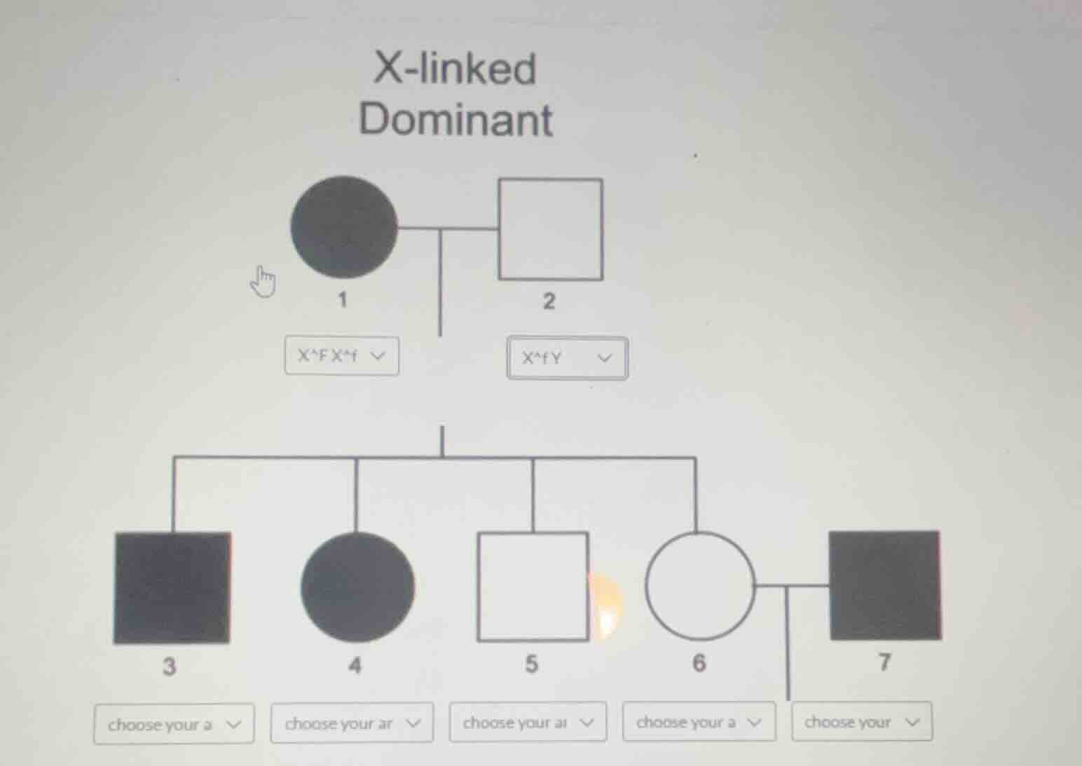 x-linked dominant 1 $x^f$$x^f$ 2 $x^fy$ 3 choose your a 4 choose your a…