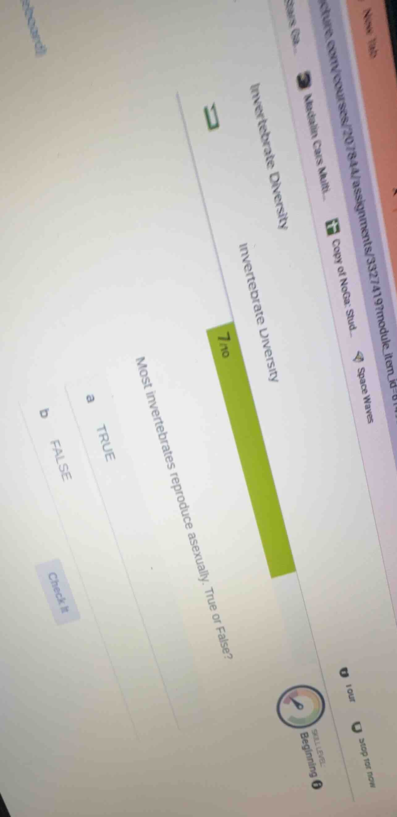 invertebrate diversity invertebrate diversity 7/10 most invertebrates r…