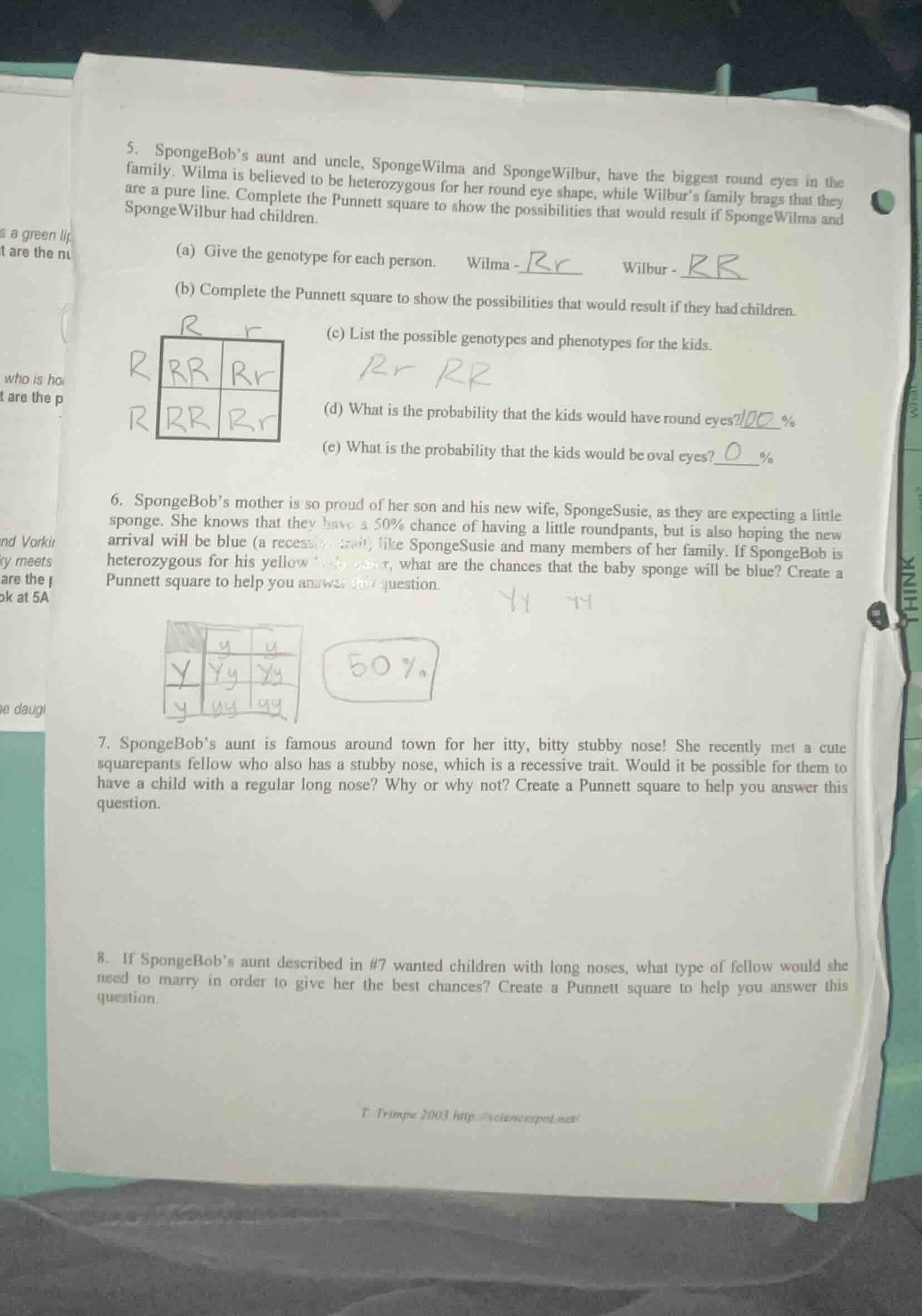 5. spongebobs aunt and uncle, spongewilma and spongewilbur, have the bi…