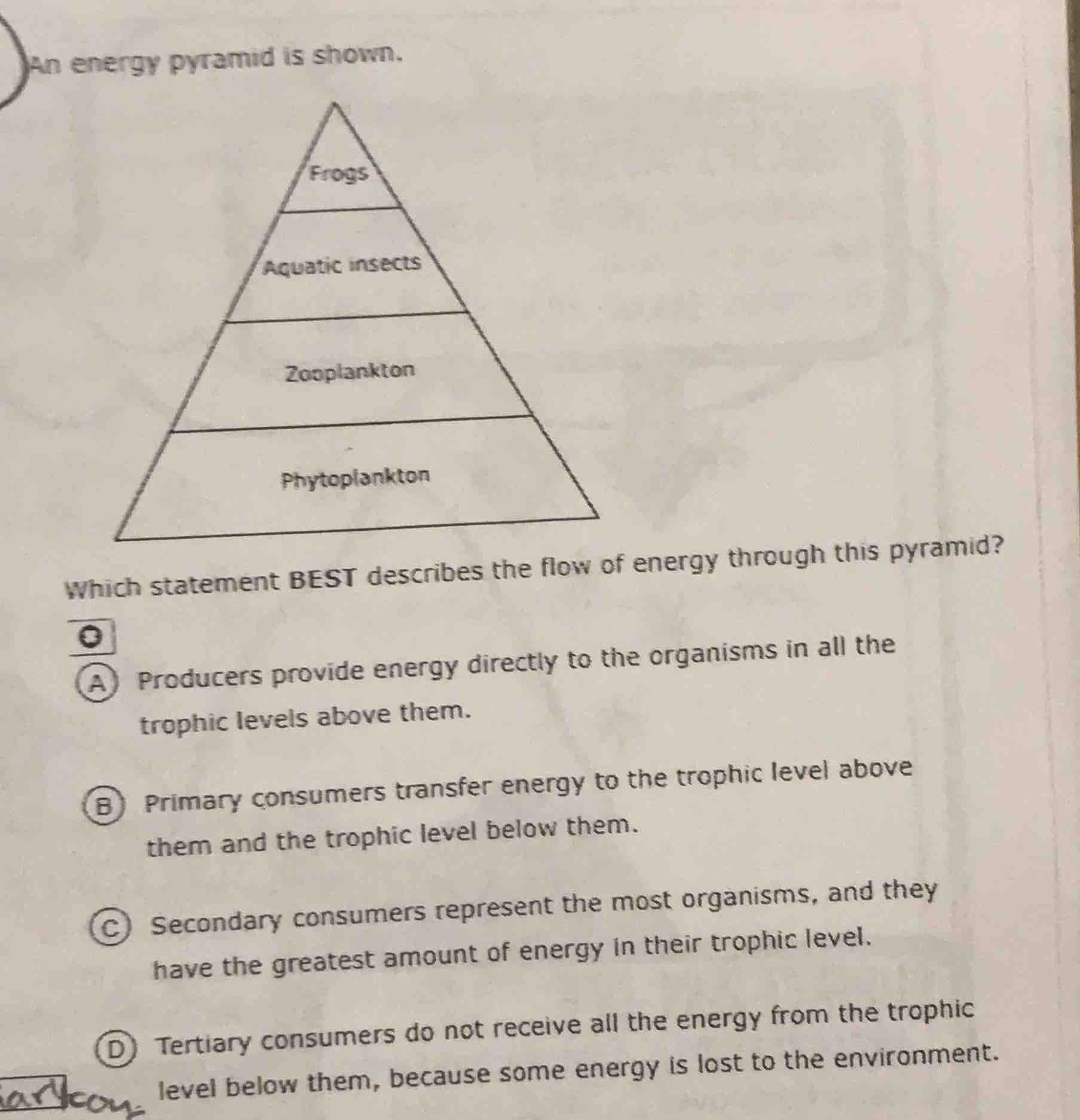an energy pyramid is shown. which statement best describes the flow of …