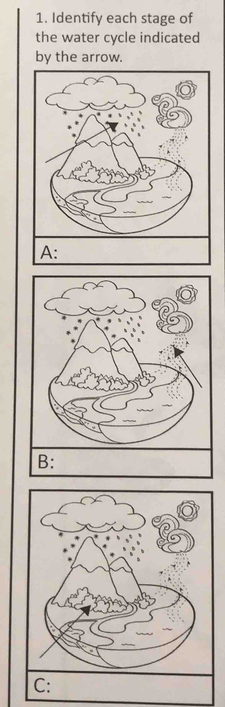 1. identify each stage of the water cycle indicated by the arrow. a: b:…