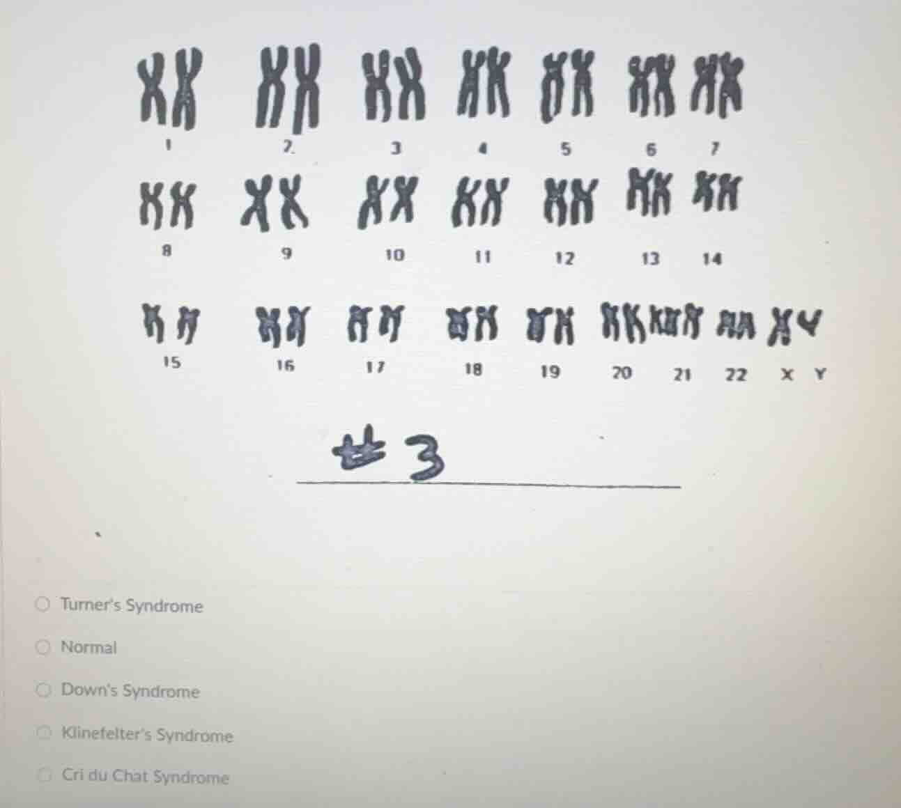 1 2 3 4 5 6 7 8 9 10 11 12 13 14 15 16 17 18 19 20 21 22 x y #3 ○ turne…