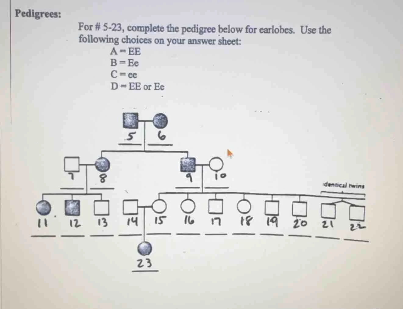 pedigrees: for # 5-23, complete the pedigree below for earlobes. use th…