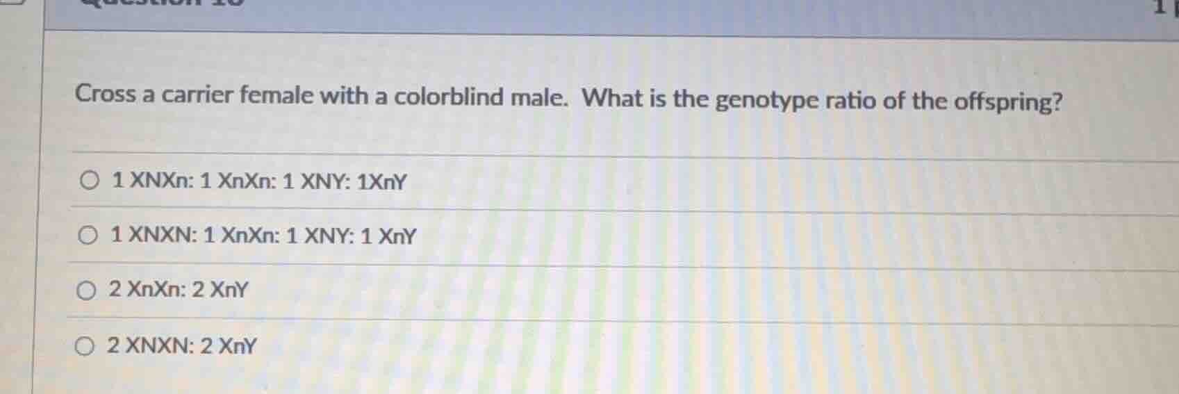 cross a carrier female with a colorblind male. what is the genotype rat…