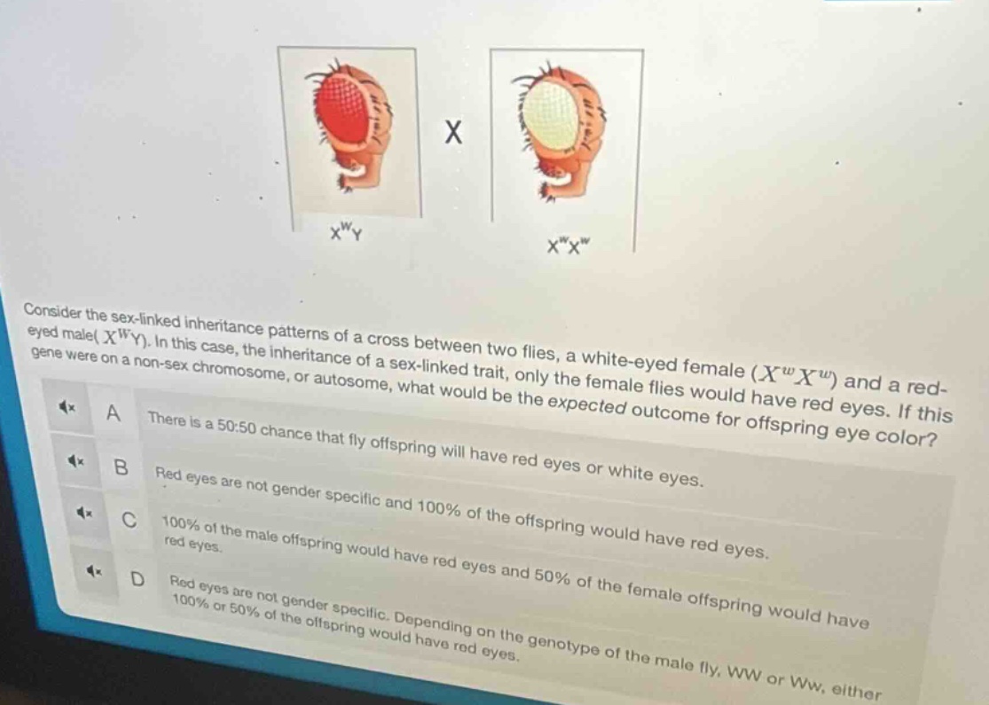 consider the sex-linked inheritance patterns of a cross between two fli…